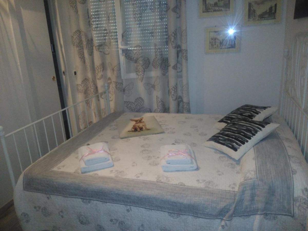 B&B San Vitale โบโลญญา ภายนอก รูปภาพ